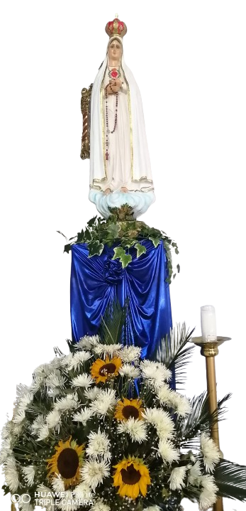 Virgen Del Rosario