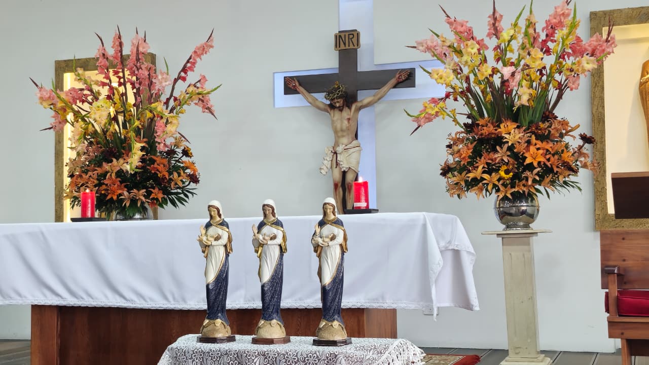 Nuestra Señora la Virgen de la Vida
