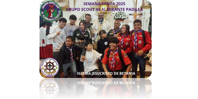 SCOUT 40