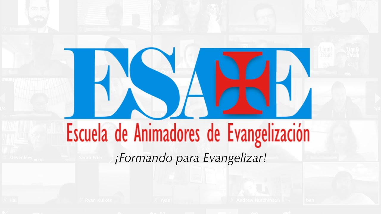 Escuela de Animadores