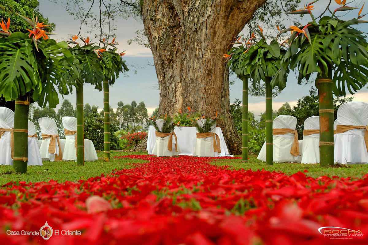 https://arquimedia.s3.amazonaws.com/1/santos-alga/decoracion-bodas-matrimonios-y-ceremonias-campestres-4jpg.jpg
