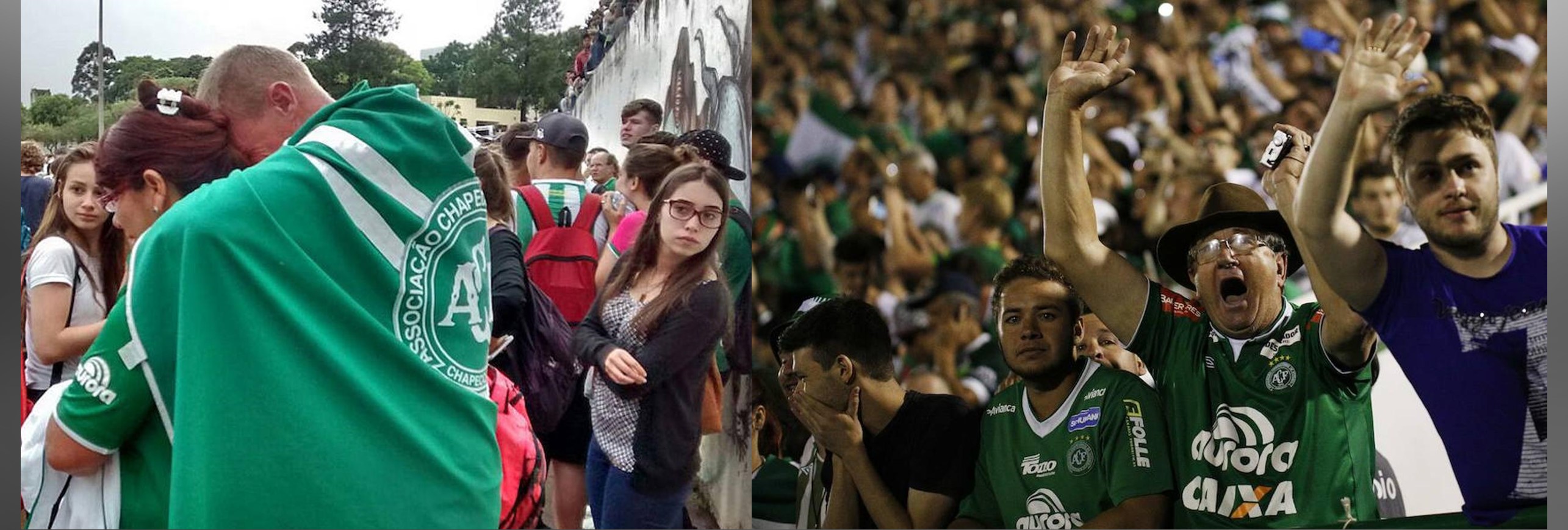 https://arquimedia.s3.amazonaws.com/1/santos-alga/chapecojpg.jpg