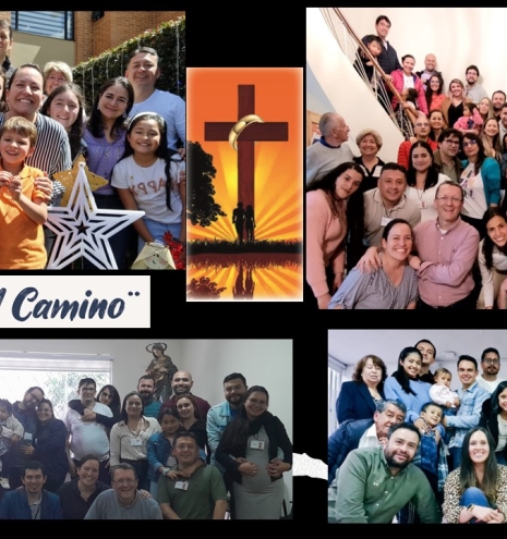 Equipo IC 2021 2