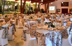 celebración fiesta
